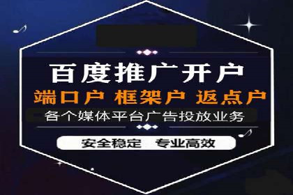 某行业巨头背后的SEM代运营服务公司